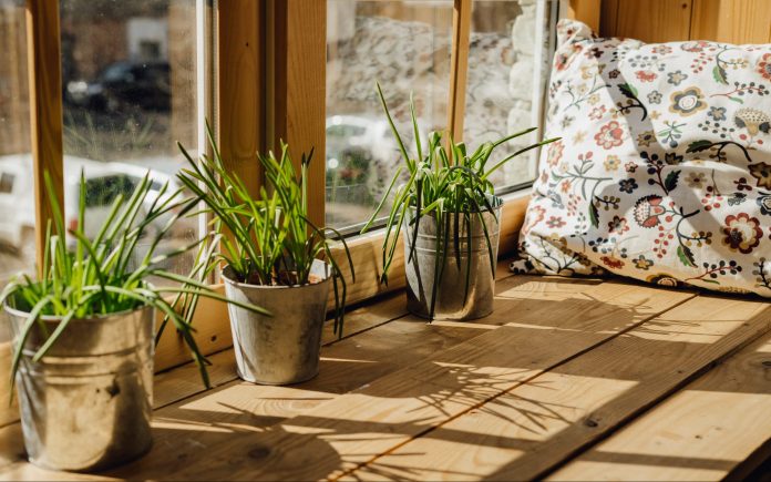 What Is A Windowsill Herb Garden Nutroo